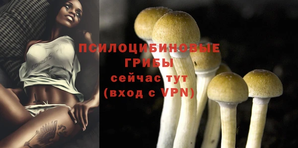 твердый Краснотурьинск