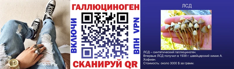 Купить закладки  Новосиль  Псилоцибиновые грибы GOLDEN TEACHER 